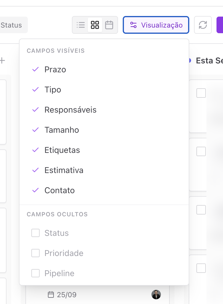 Menu Visualização aberto, dividido entre Campos visíveis e Campos ocultos